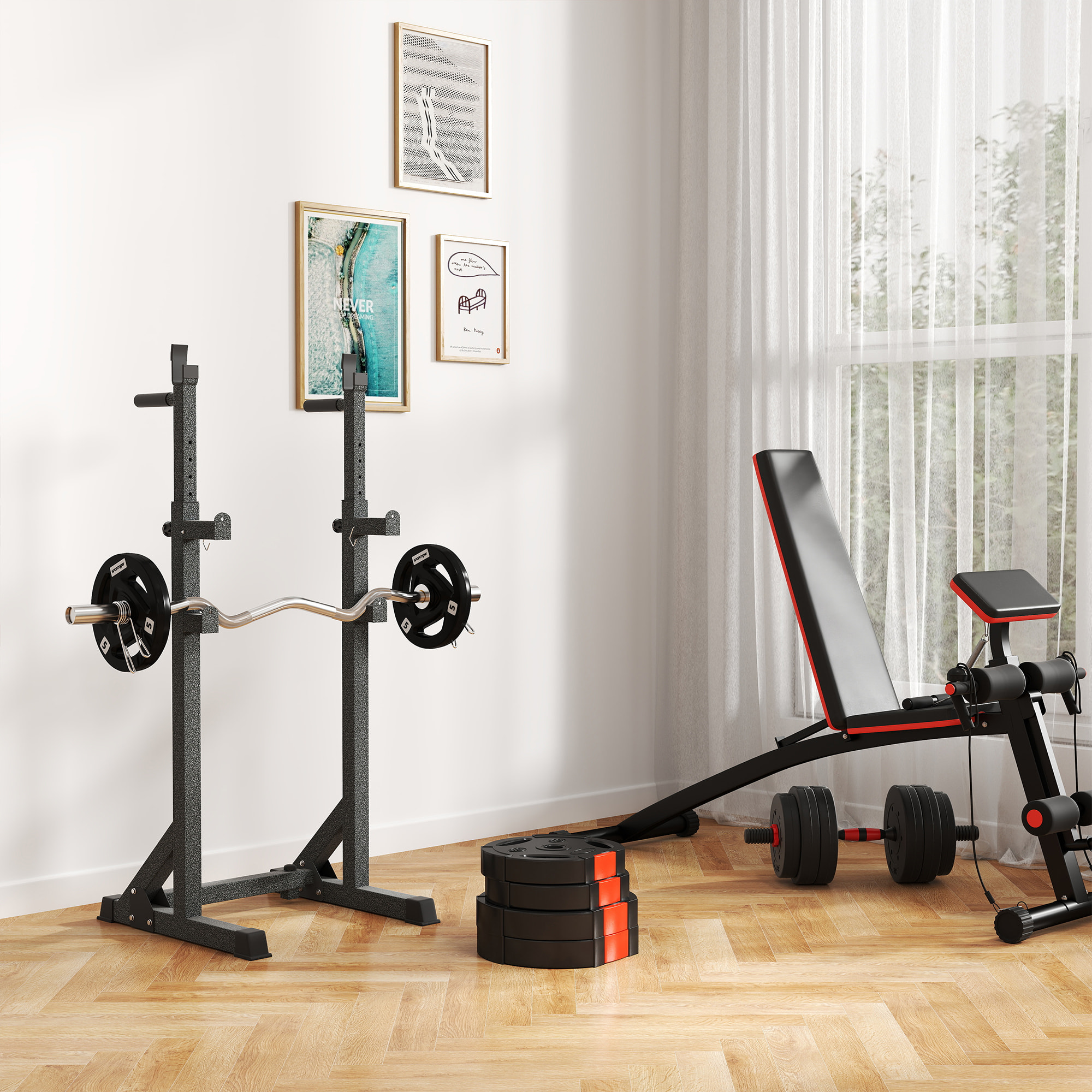 Juego de Discos Pesas de 4 Piezas Discos de Pesas Total 30 kg 2x10 kg 2x5 kg con Orificios de 2,5 cm para Entrenamiento Fitness en Hogar Gimnasio Negro