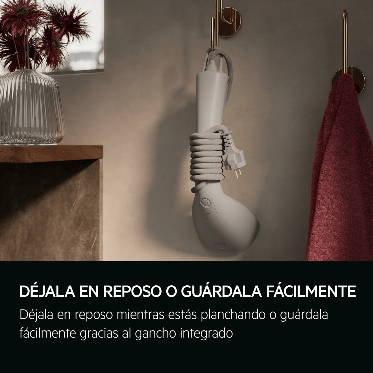 AEG Plancha de vapor vertical de 1400 W HS7-2-6UG