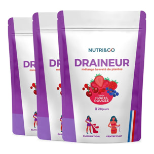 Draineur Rétention d’Eau aux Extraits de Plantes Breveté - Goût Fruits Rouges 100g Vegan - Lot de 3