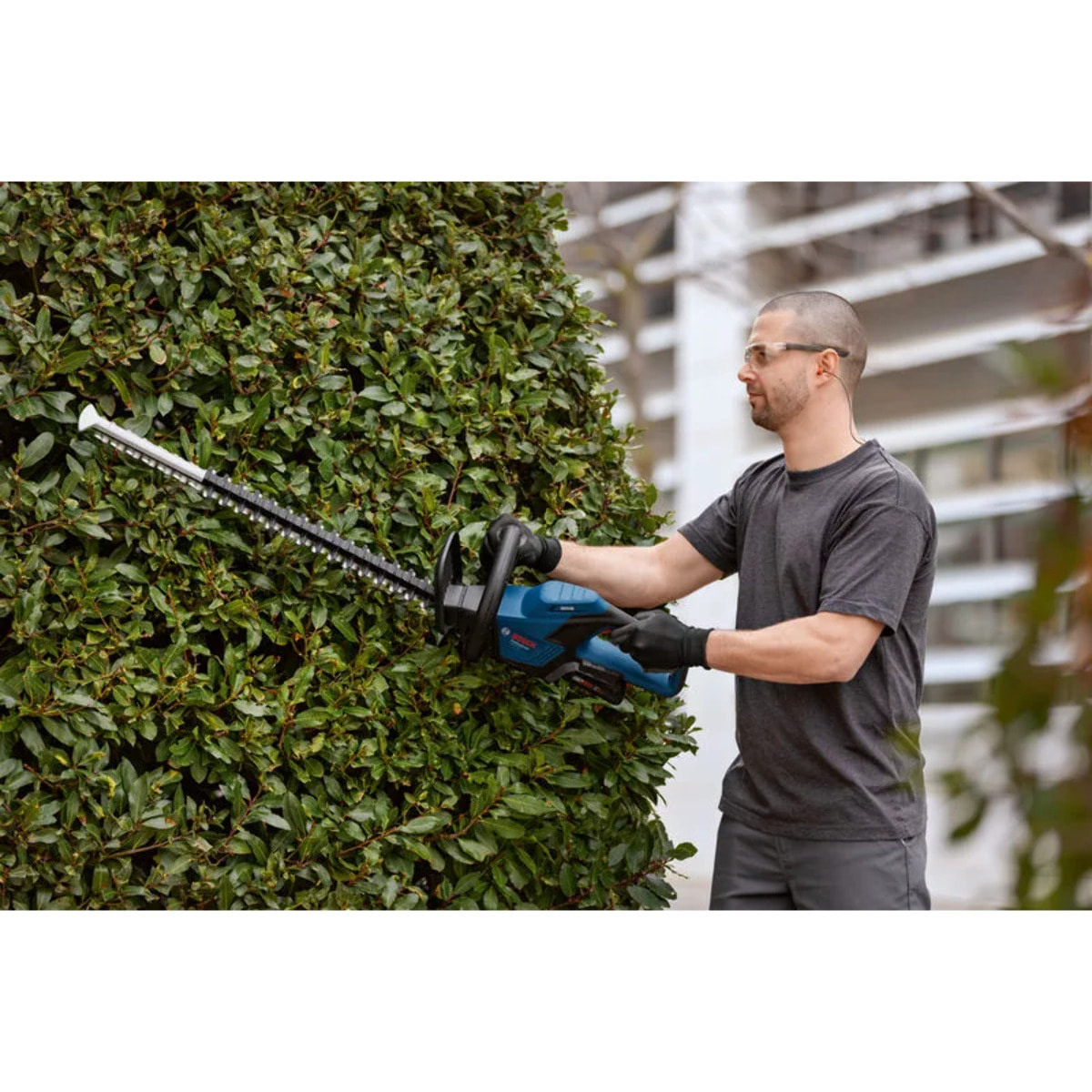 Taille-haies sans fil GHE 18V-50 Professional - 18V - 50 cm - Sans batterie ni chargeur - BOSCH - 06008C9500