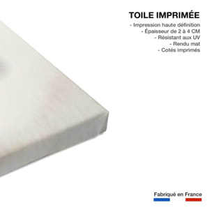 Tableau ours blanc polaire Toile imprimée