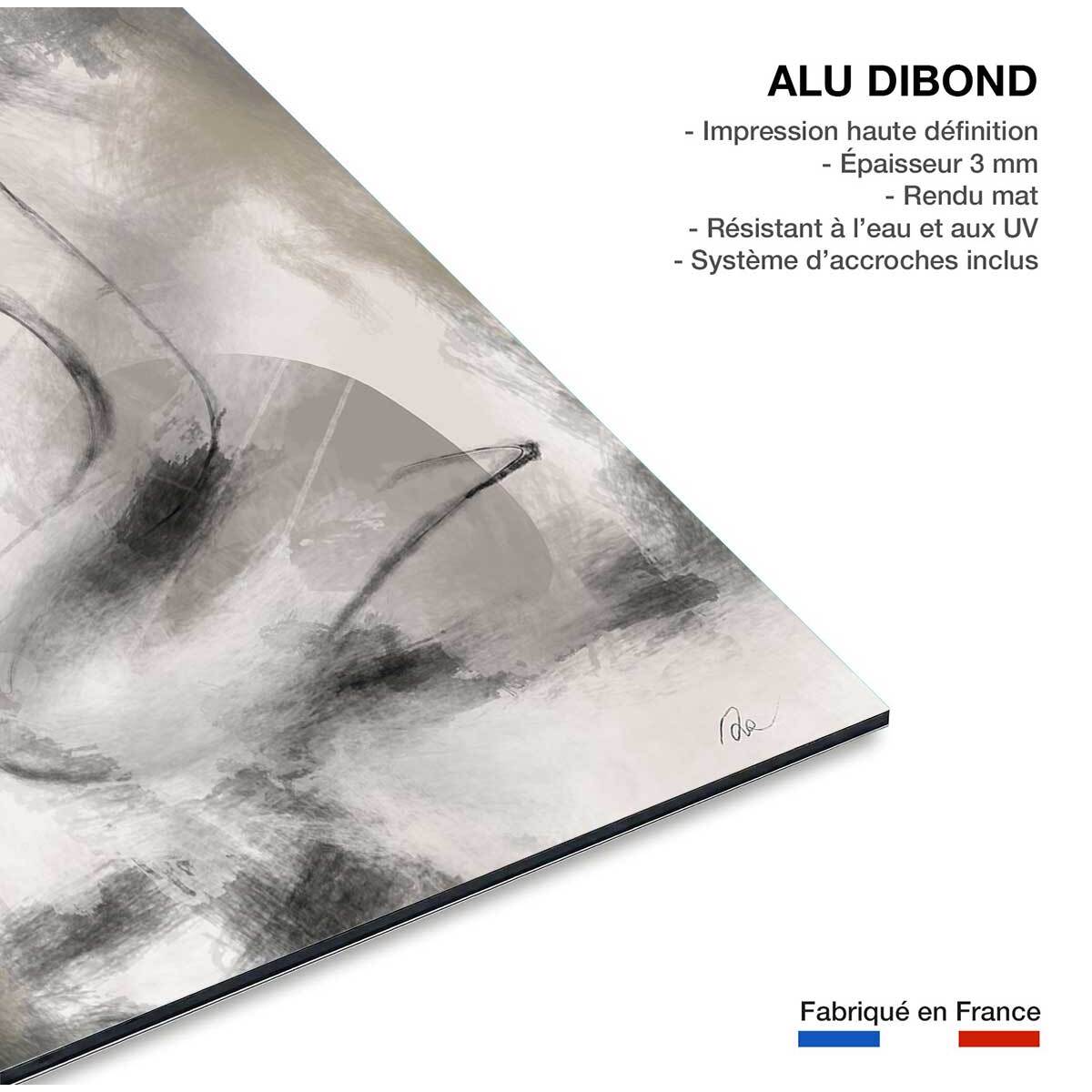 Tableau contemporain eclats de forme Tableau alu Dibond