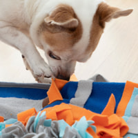 Tappetino profumato per animali domestici Fooland InnovaGoods - multicolore - 45x45x1 cm