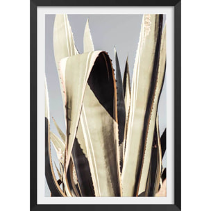 Poster cactus mexicain Affiche + cadre en bois - Noir