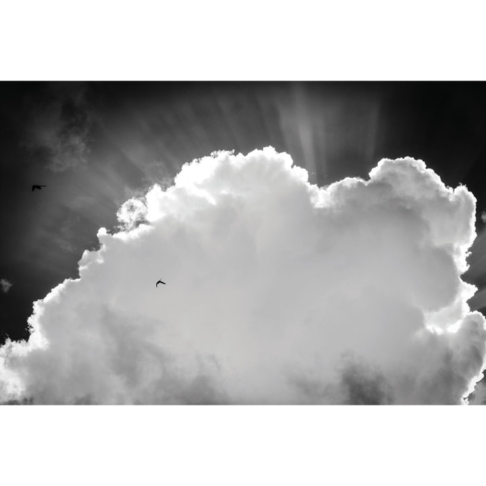 Tableau Affiche illustration graphique cathodique Tableau alu Dibond