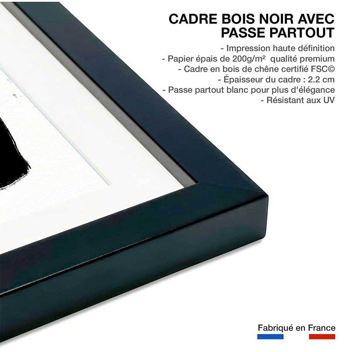 Illustration Botanique et Poterie azteque Affiche + cadre en bois - Noir