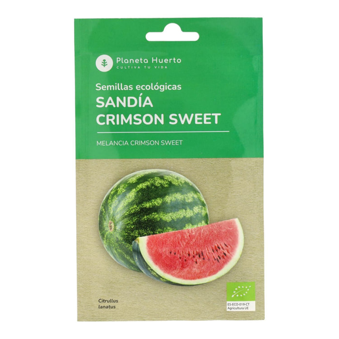 PLANETA HUERTO | Semillas Ecológicas de Sandía Crimson Sweet – Frutos Jugosos y Dulces, Alta Productividad y Resistencia