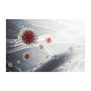 AEG Filtro de protección contra particulas ultrafinas, bacterías y virus para Multi 7000 AFWCLN5