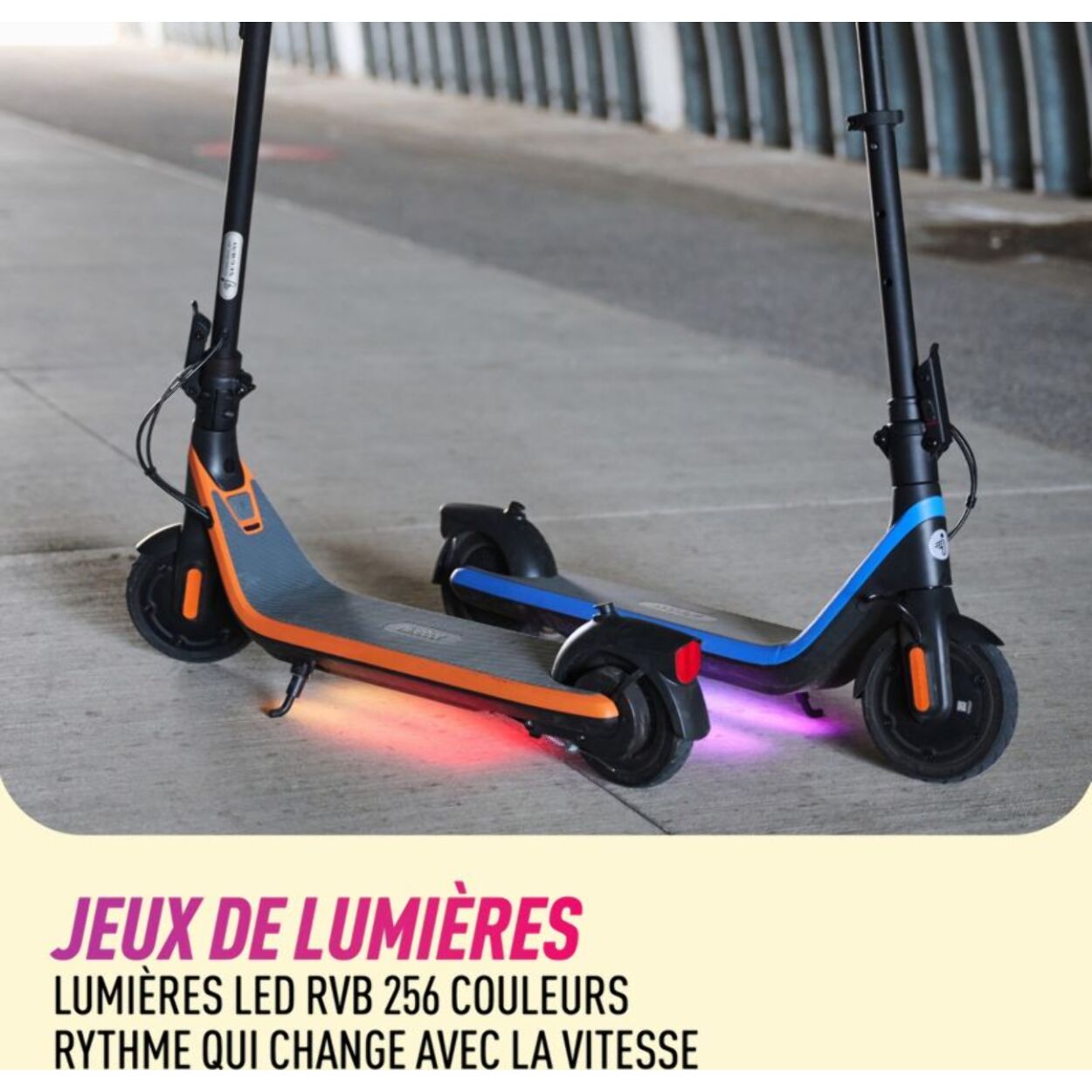 Trottinette électrique enfant NINEBOT C2 enfant powered by Segway