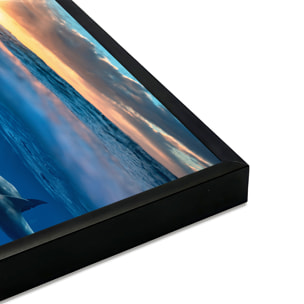 Affiche encadrée dauphins dans l’océan Affiche + cadre en métal - Noir