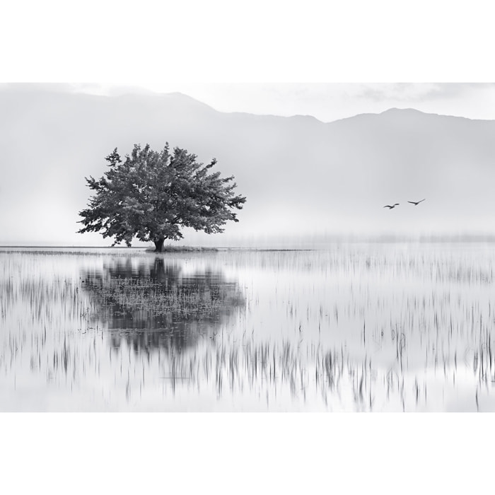 Tableau nature reflets d'eau Tableau alu Dibond