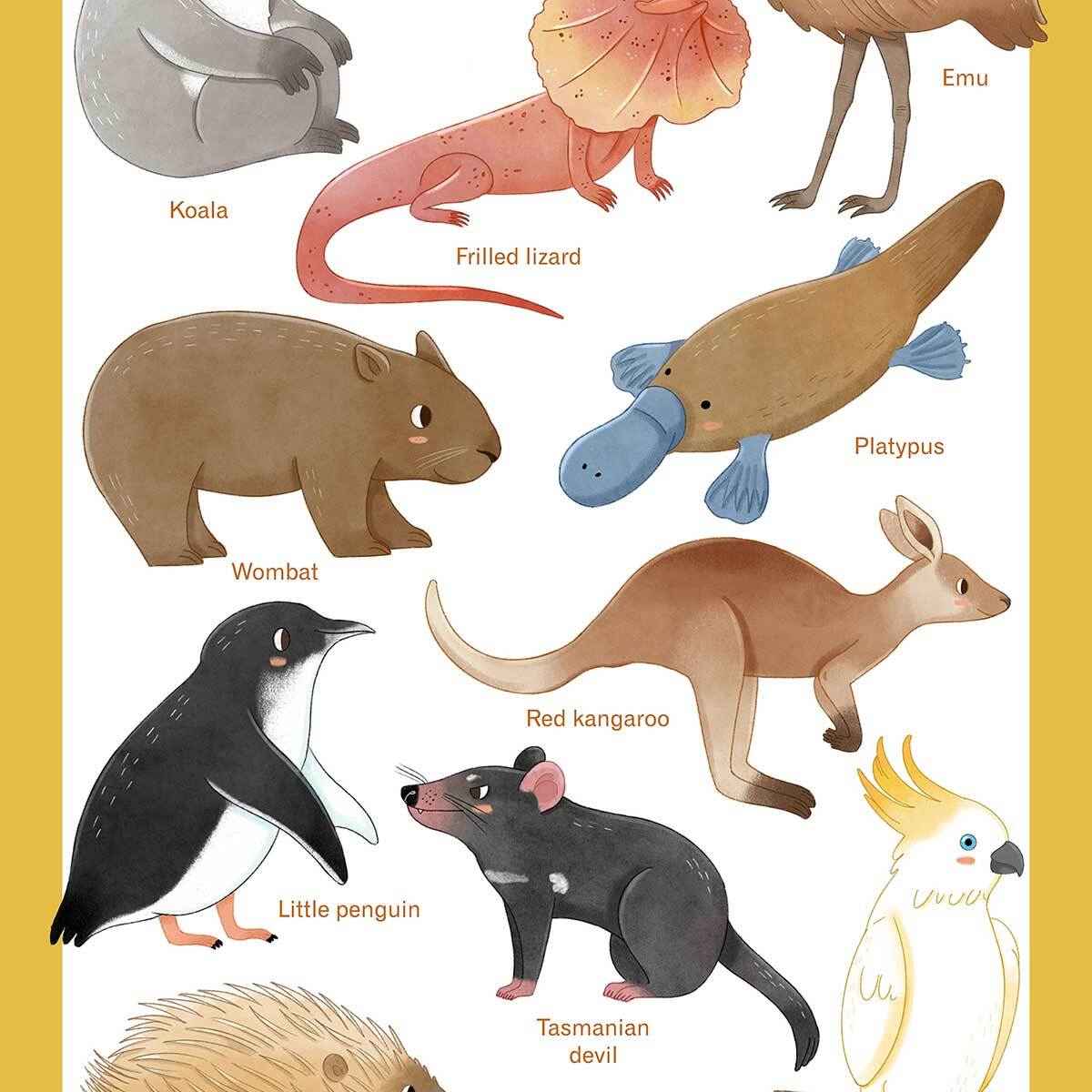 Affiche enfant animaux d' australie  Affiche sous cadre noir
