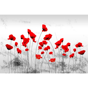 Tableau design coquelicots gris  Tableau plexiglas