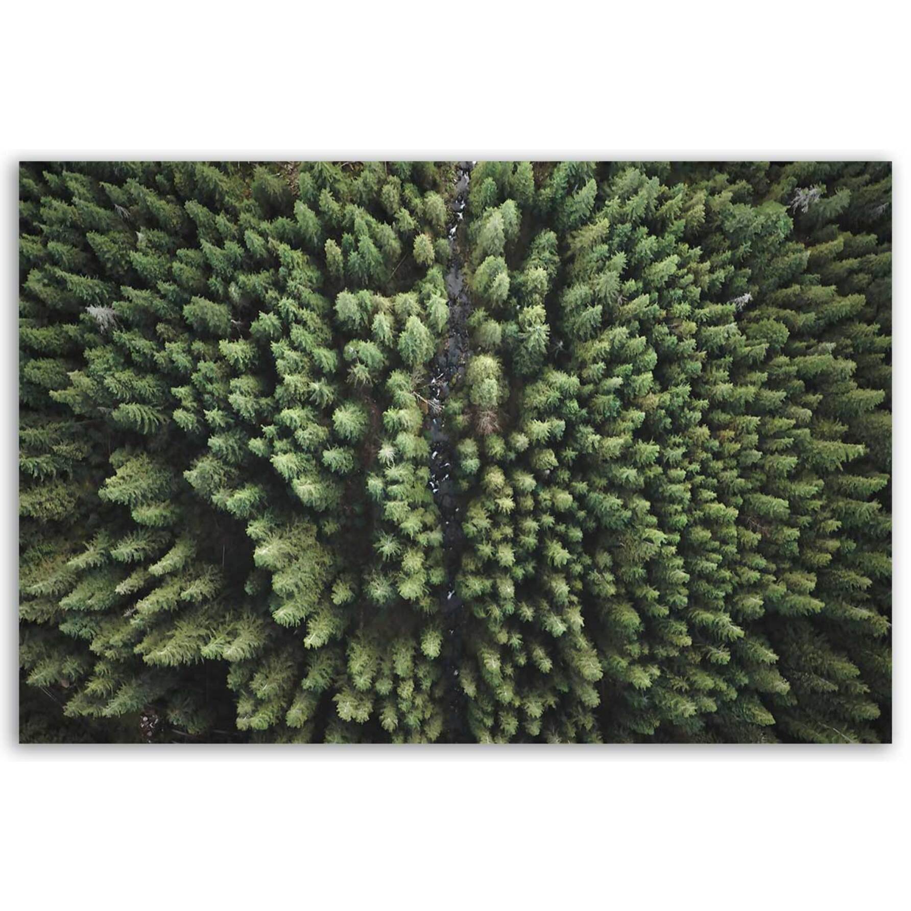 Tableau forêt vue aérienne apaisante Toile imprimée