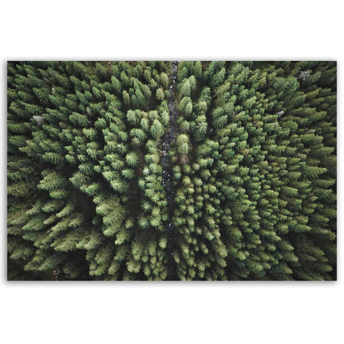 Tableau forêt vue aérienne apaisante Toile imprimée
