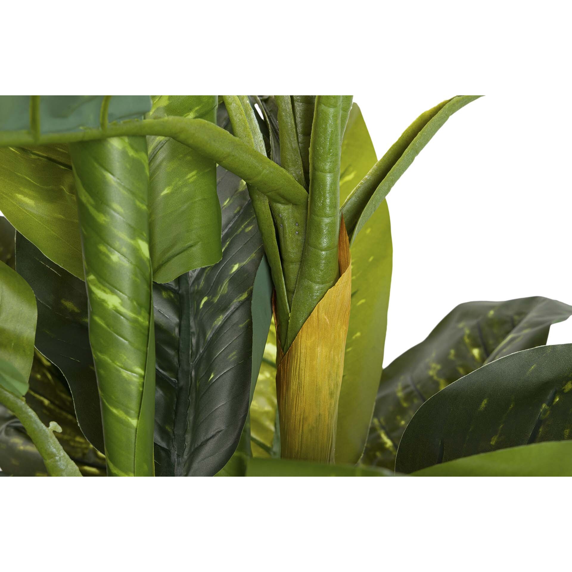 Planta Artificial Dieffenbachia Amoena Con Maceta 70x70x160cm