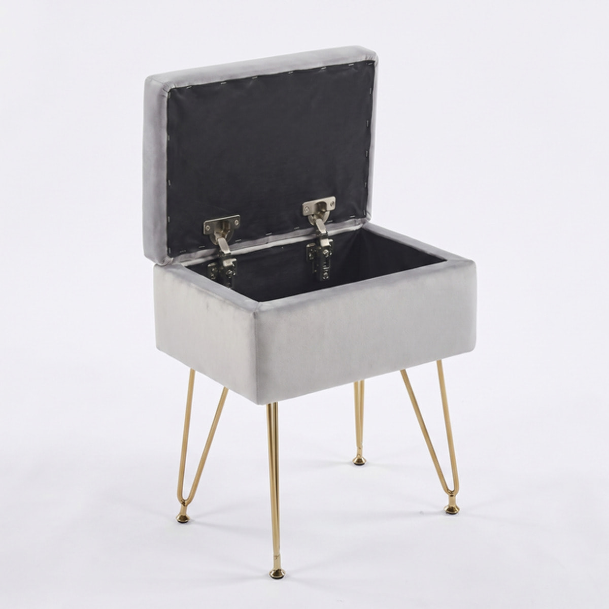 Panca Contenitore in Effetto Velluto con Seduta Imbottita e Vano Portaoggetti, Design Moderno con Gambe in Acciaio per Ingresso, Camera da Letto e Soggiorno