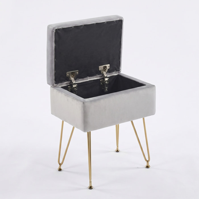 Panca Contenitore in Effetto Velluto con Seduta Imbottita e Vano Portaoggetti, Design Moderno con Gambe in Acciaio per Ingresso, Camera da Letto e Soggiorno