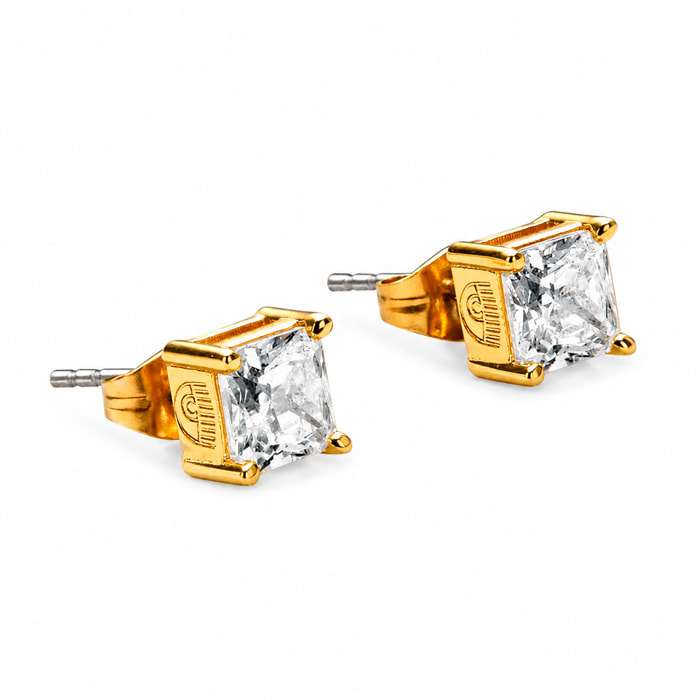 Pendientes Chiara Ferragni Mujer J19AVJ20