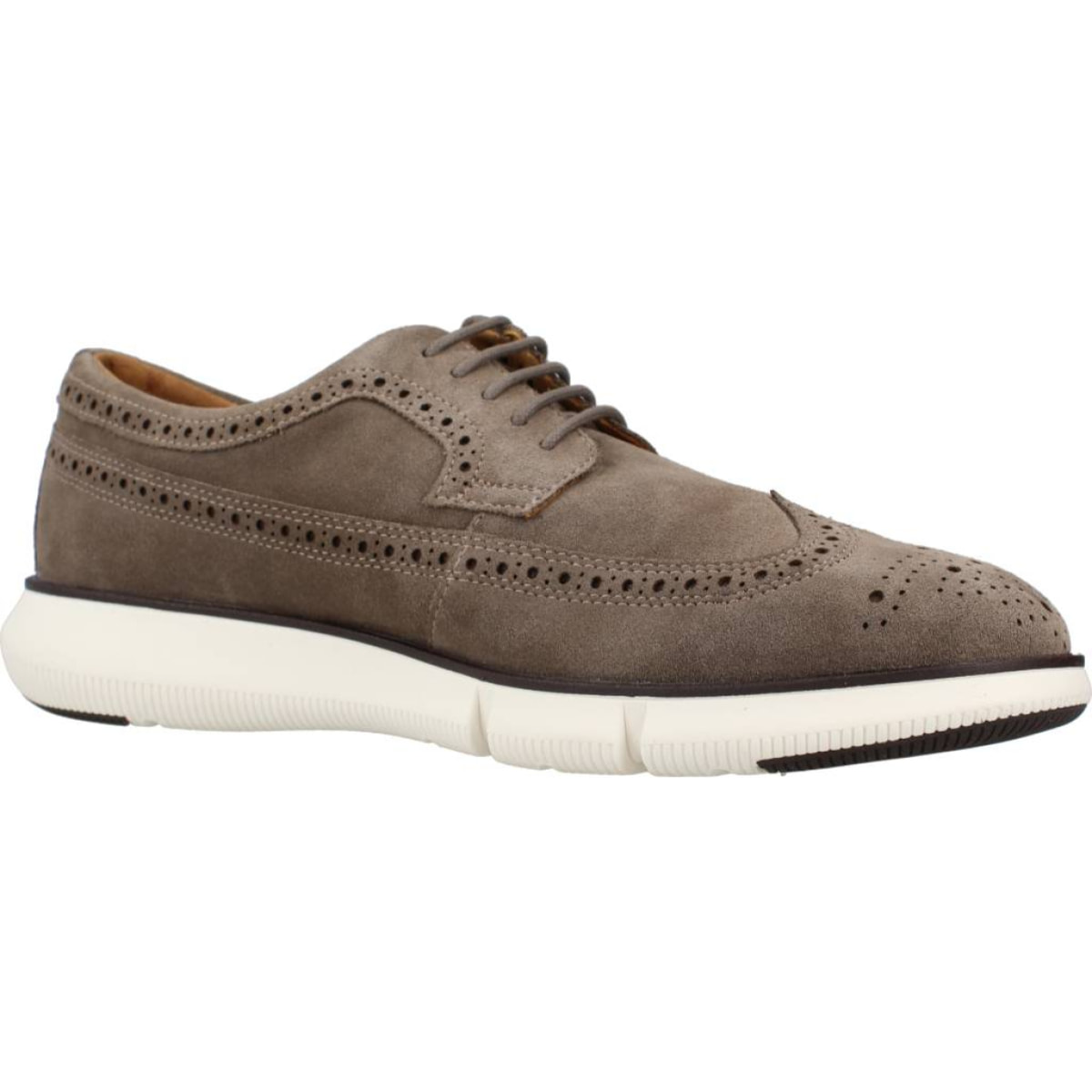 DERBIES - OXFORD GEOX  U ADACTER F B