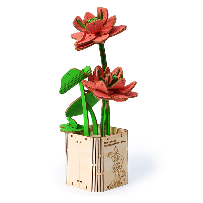 Modello in Legno 3D, design di Loto. 107 pezzi.