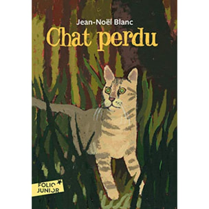 Blanc,Jean-Noël | CHAT PERDU | Livre d'occasion