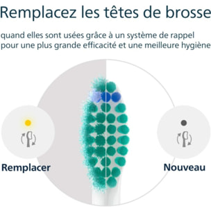 Brossette dentaire PHILIPS Sonicare lot de 6 - HX6016/87 white ProResults C1