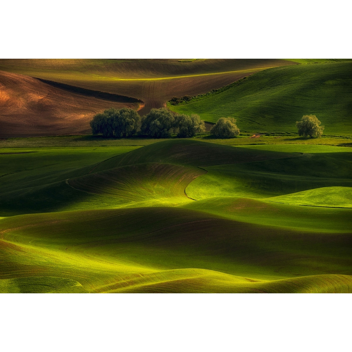 Tableau Colline UsA Tableau alu Dibond