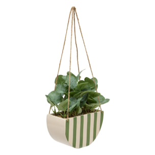 Plante artificelle suspendue Cheri 21x10cm