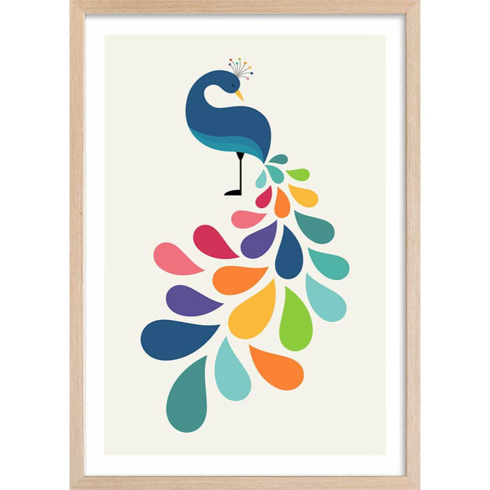 Affiche  paon coloré Affiche + cadre en bois - Chêne