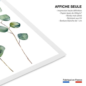 Affiche aquarelle eucalyptus Affiche seule