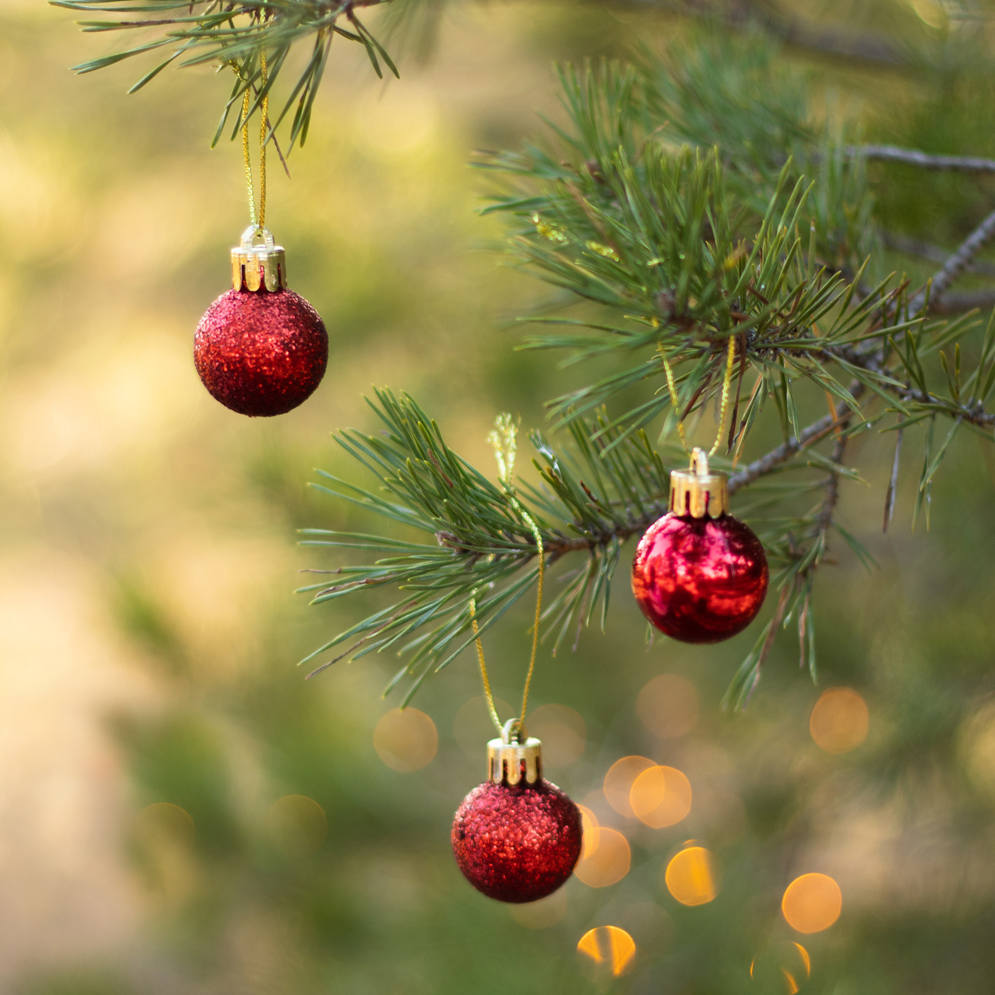 Paquete de 100 bolas color rojo de navidad en diferentes acabados y tamaños