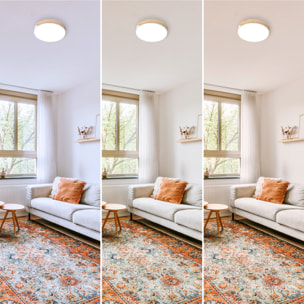 Forlight - Plafón LED 64W Regulable, Luz Ajustable 3000K-6000K, Diseño Moderno Blanco y Madera, Diámetro 61 cm, Ideal para Interiores Acogedores y Luminosos