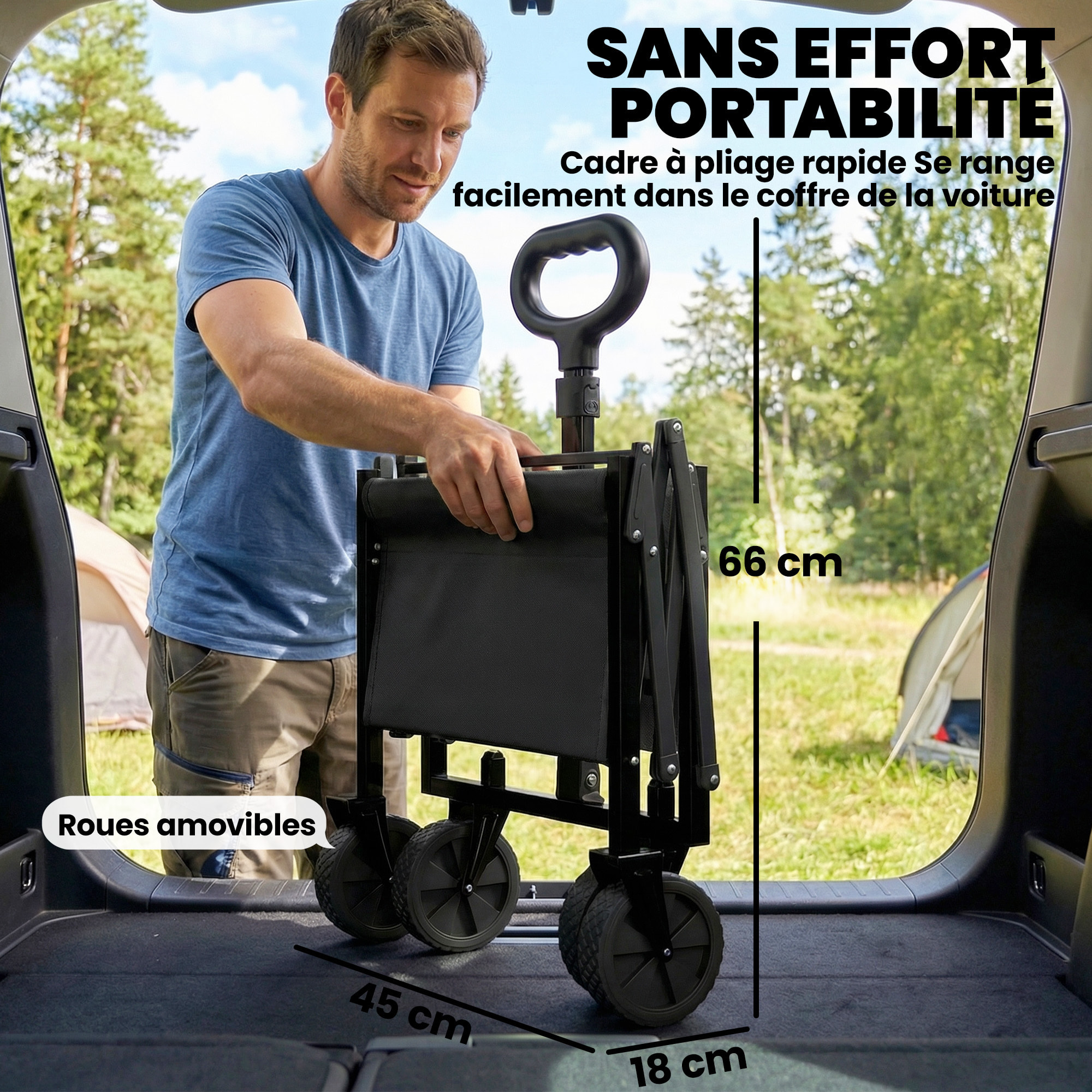 Chariot de transport pliable 60L porte arrière rabattable noir