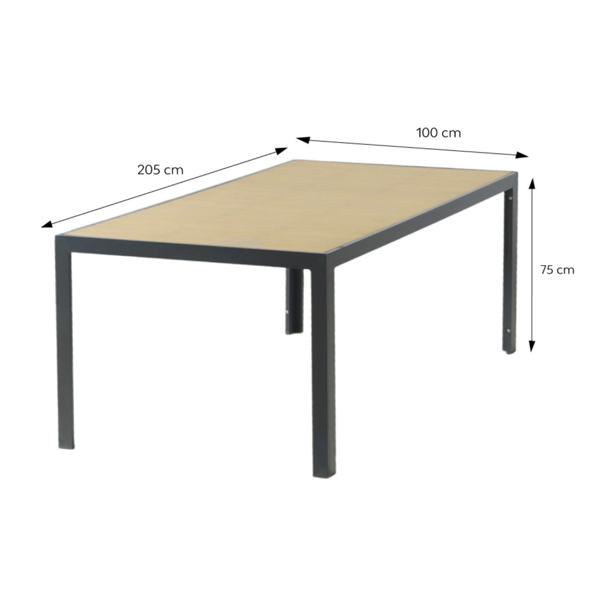 Ensemble table de jardin 200 cm en aluminium et 10 chaises pliantes NAIROBI