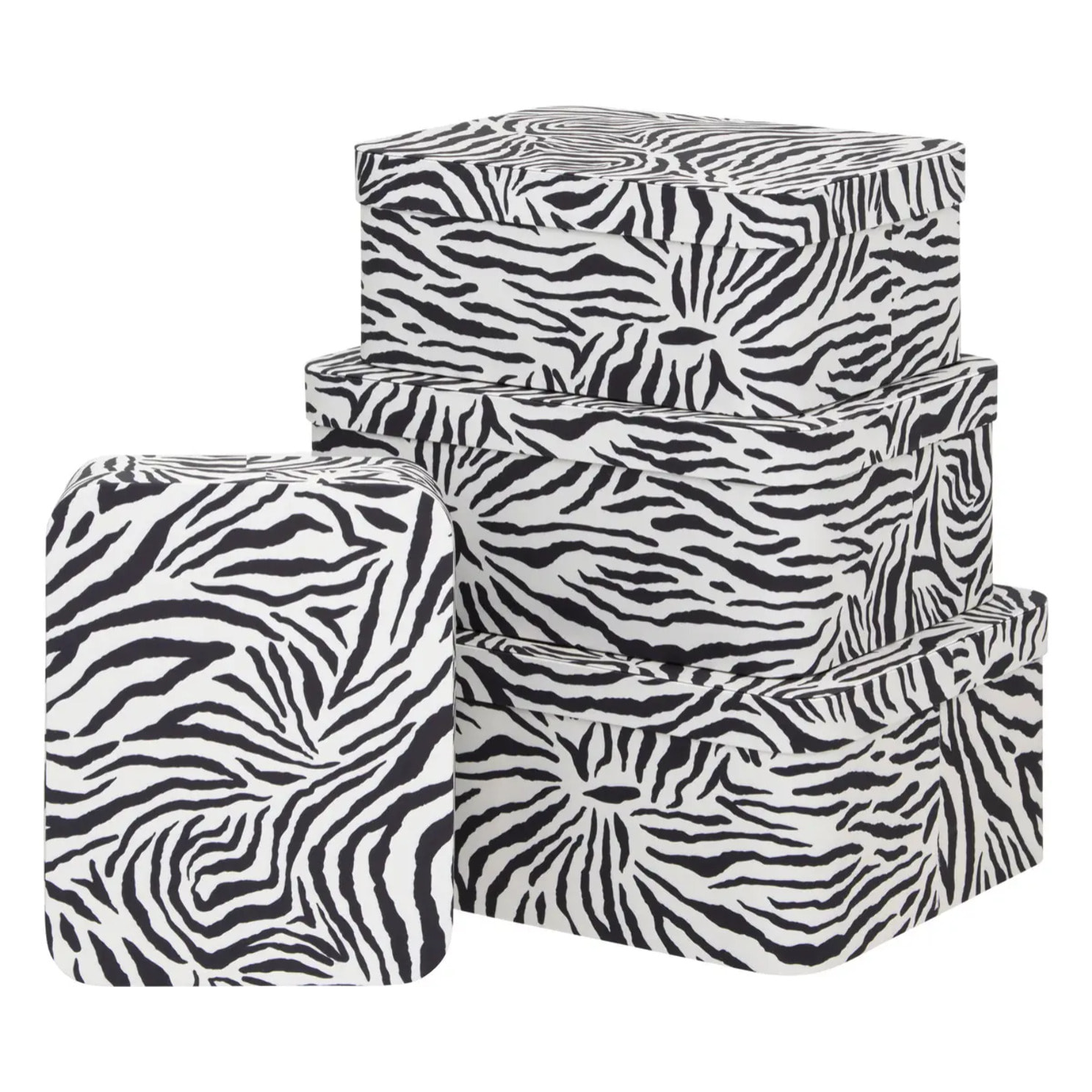 Lot de 4 boîtes Polybox