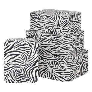Lot de 4 boîtes Polybox