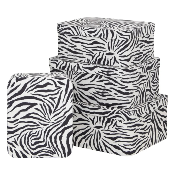 Lot de 4 boîtes Polybox