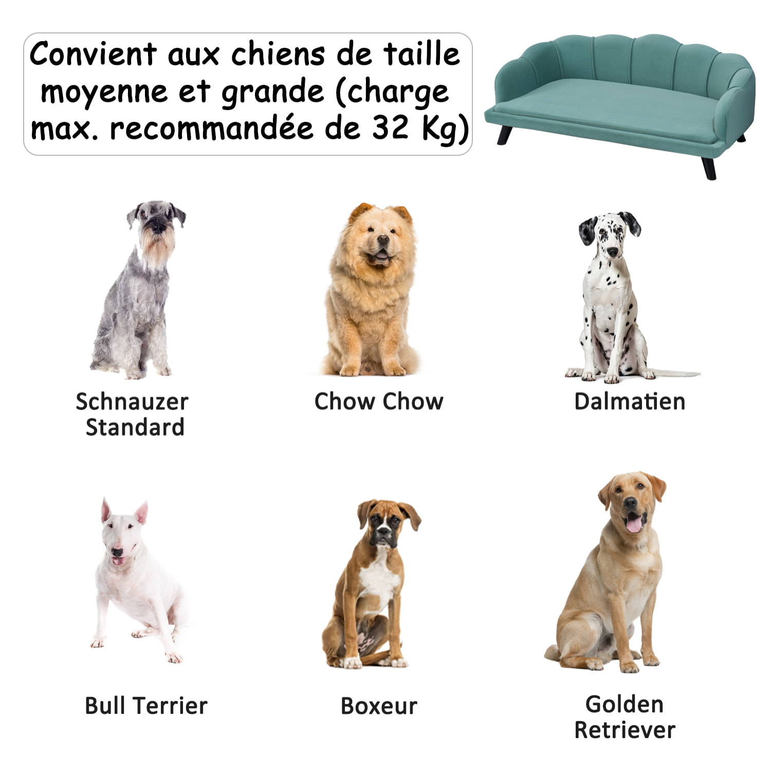 Canapé chien lit pour chien chat design contemporain coquillage dim. 98L x 60l x 35H cm coussin moelleux velours vert