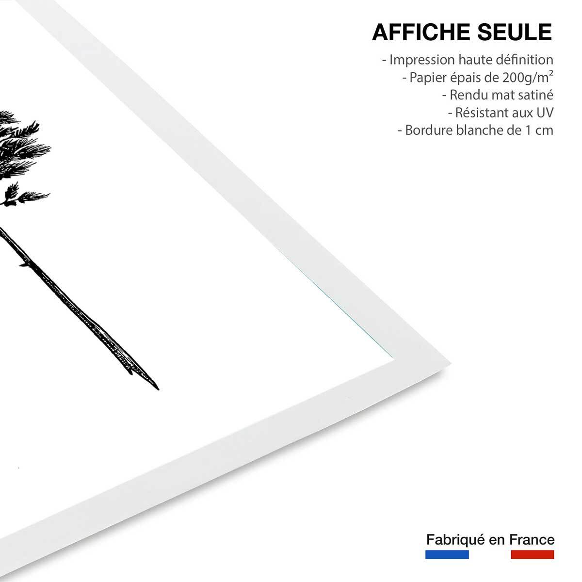 Poster pin landais Affiche seule