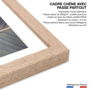 Affiche palm leaves y Affiche + cadre en bois - Chêne