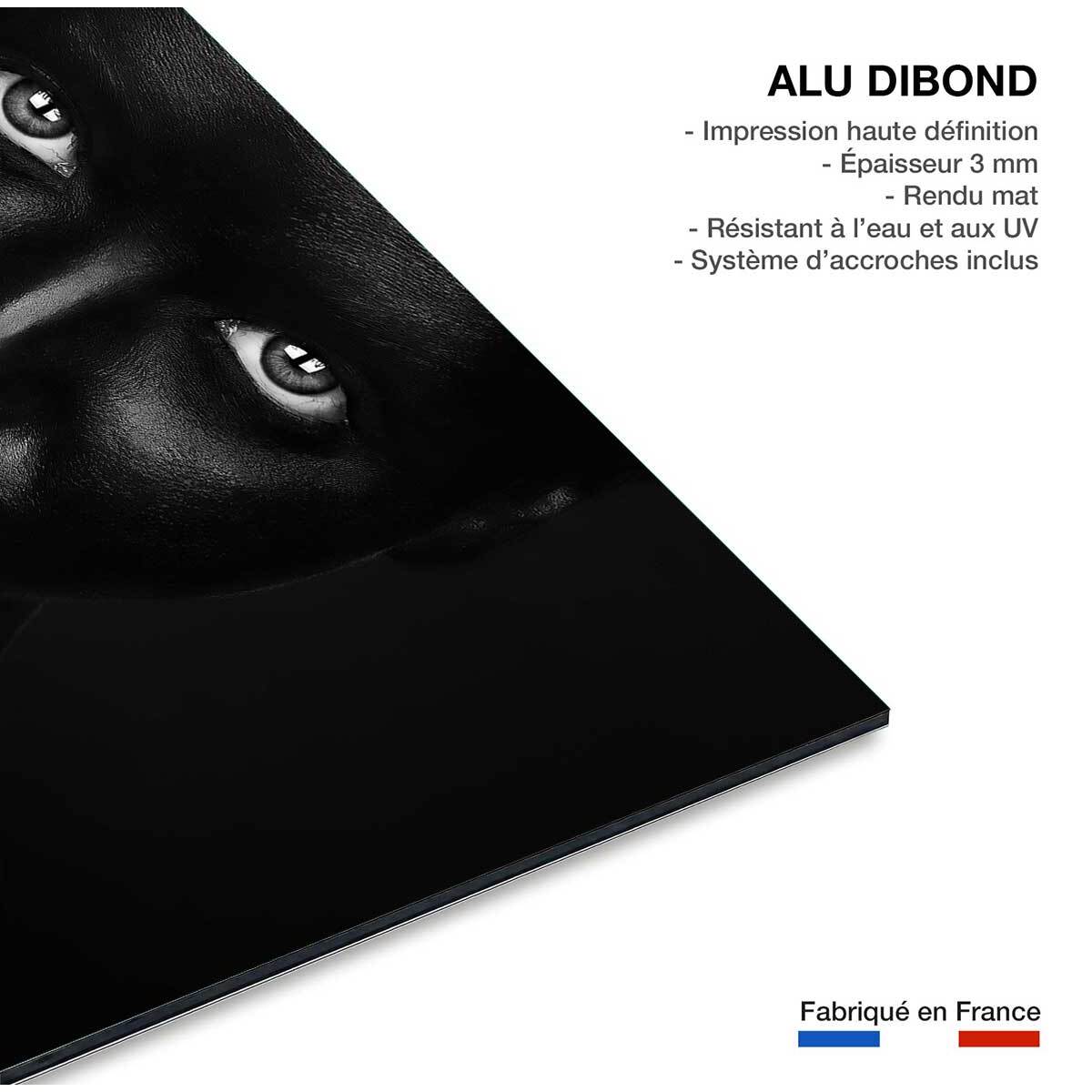 Tableau d'art portrait rouge Tableau alu Dibond