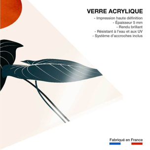 Tableau fleurs Monstera au soleil rouge Tableau plexiglas