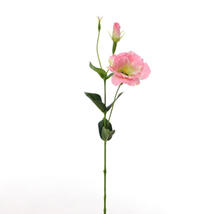 Lisianthus Composto Da 2 Fiori. Altezza 60 Cm - Pezzi 12 - 11,2X60X7,5cm - Colore: Rosa - Bianchi Dino - Fiori Artificiali