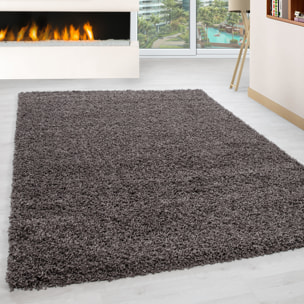 OTTAWA - Tapis shaggy uni Taupe