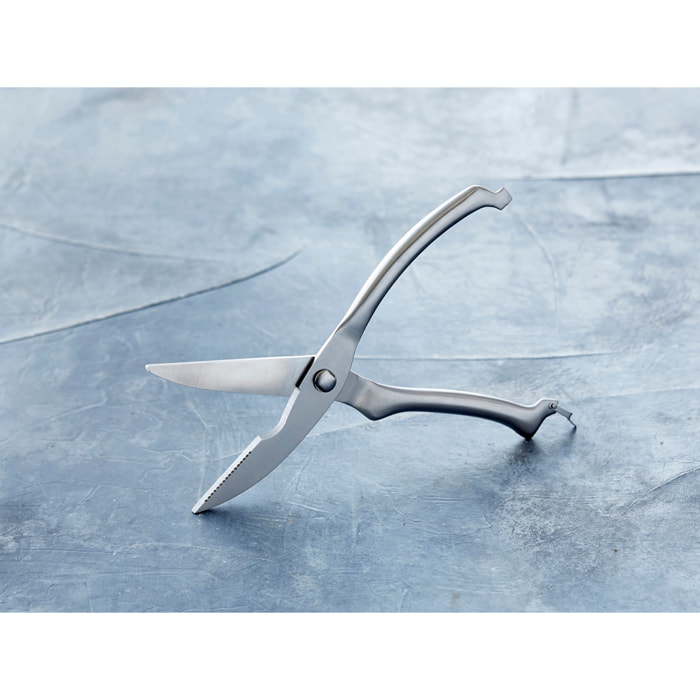 Ciseau à volaille