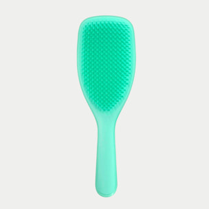 TANGLE TEEZER The Ultimate Detangler NATURALLY CURLY Aqua Green