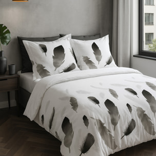 Parure Housse De Couette + 2 taies Coton 57 Fils