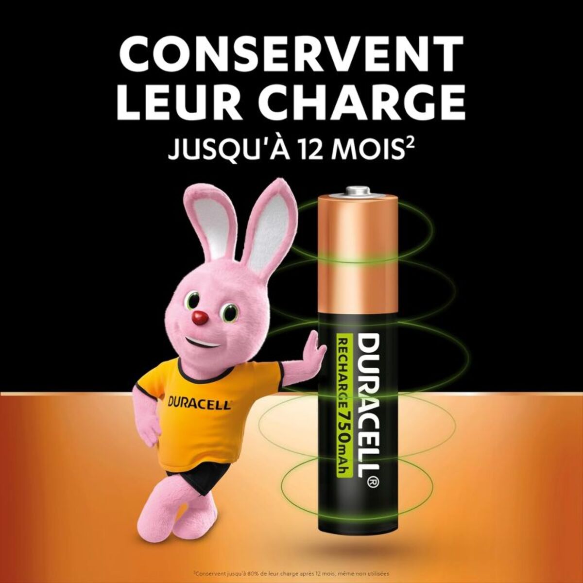 Pile rechargeable DURACELL AAA/LR03 PLUS POWER 750 mAh, x4