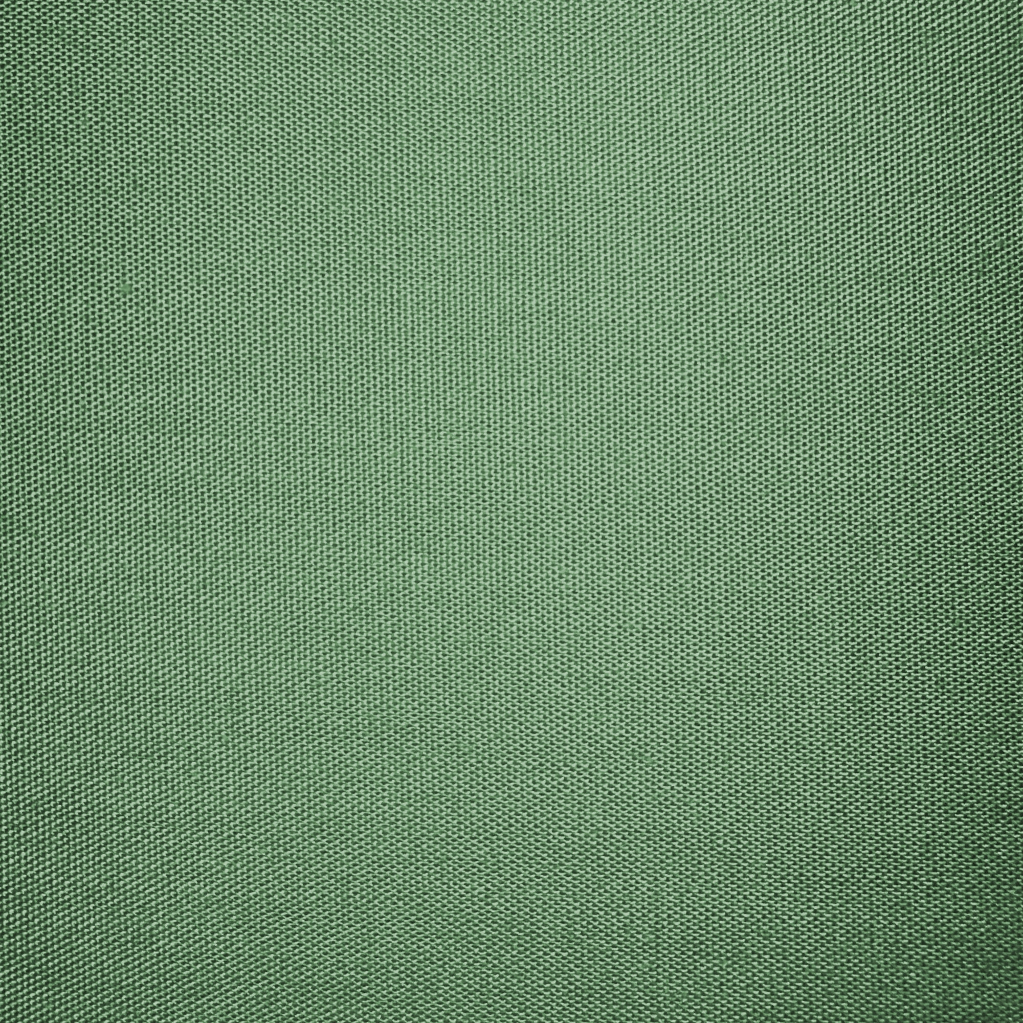 WHITE & WHITE Set 2 federe 100% cotone percalle Verde